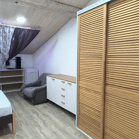 Apartament центр оперний теат однокімнатні з кухня-студія кондиціонер